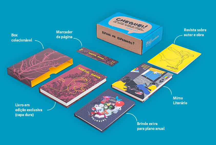 Itens da caixinha do plano anual