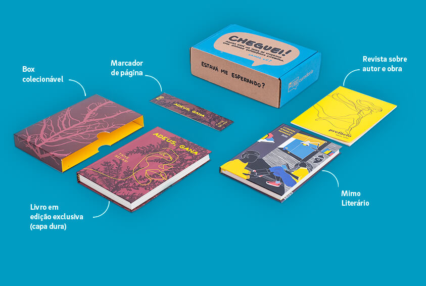 Itens da caixinha do plano mensal