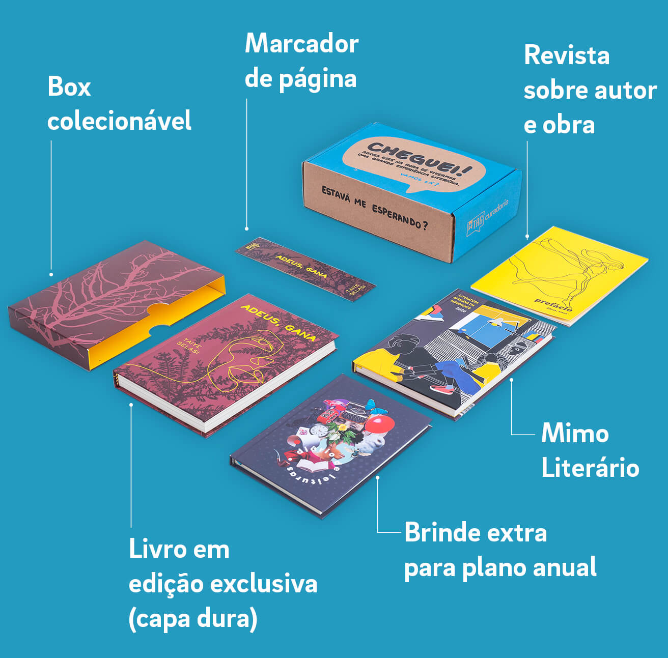 Itens da caixinha do plano anual