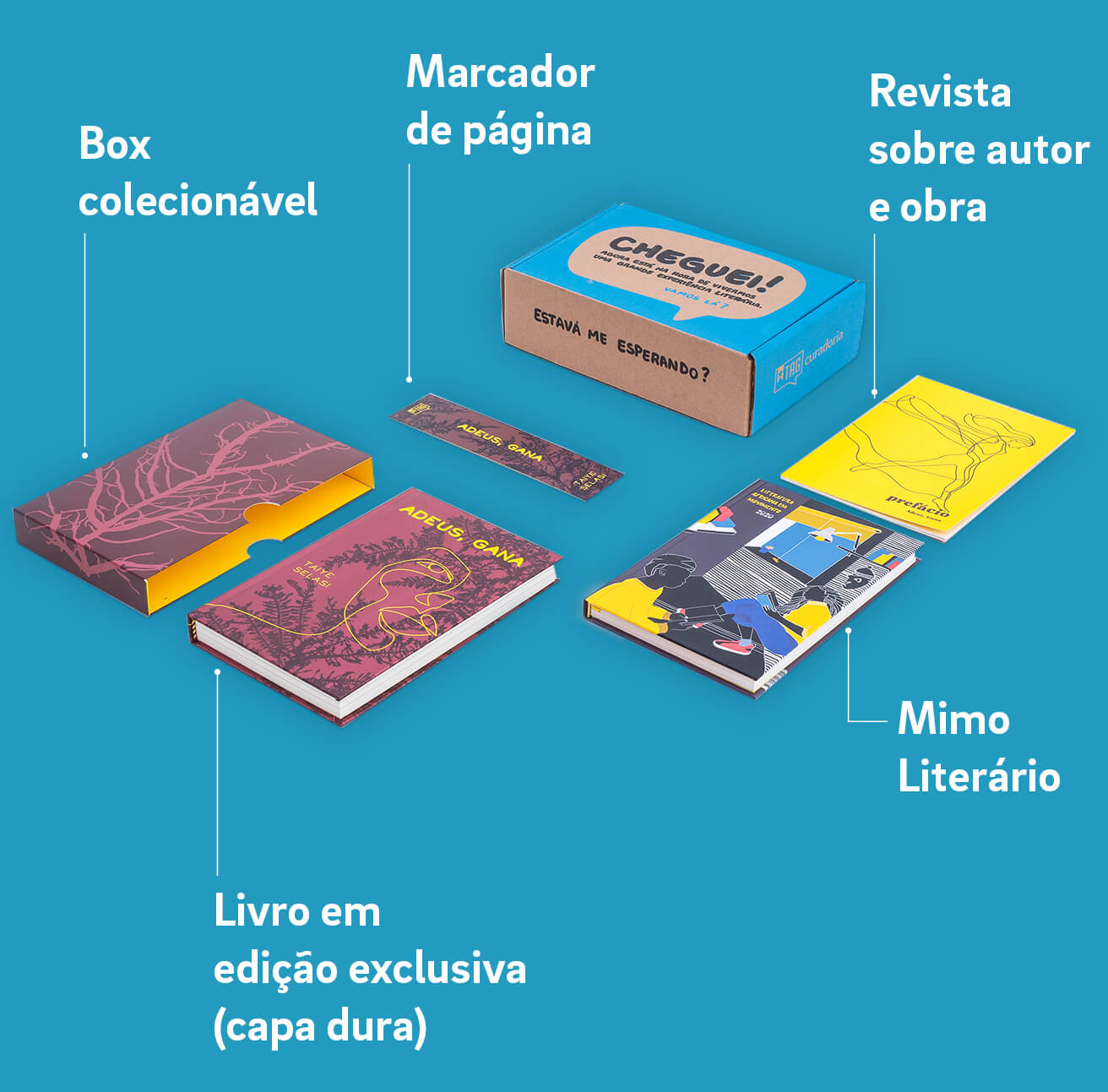 Itens da caixinha do plano mensal