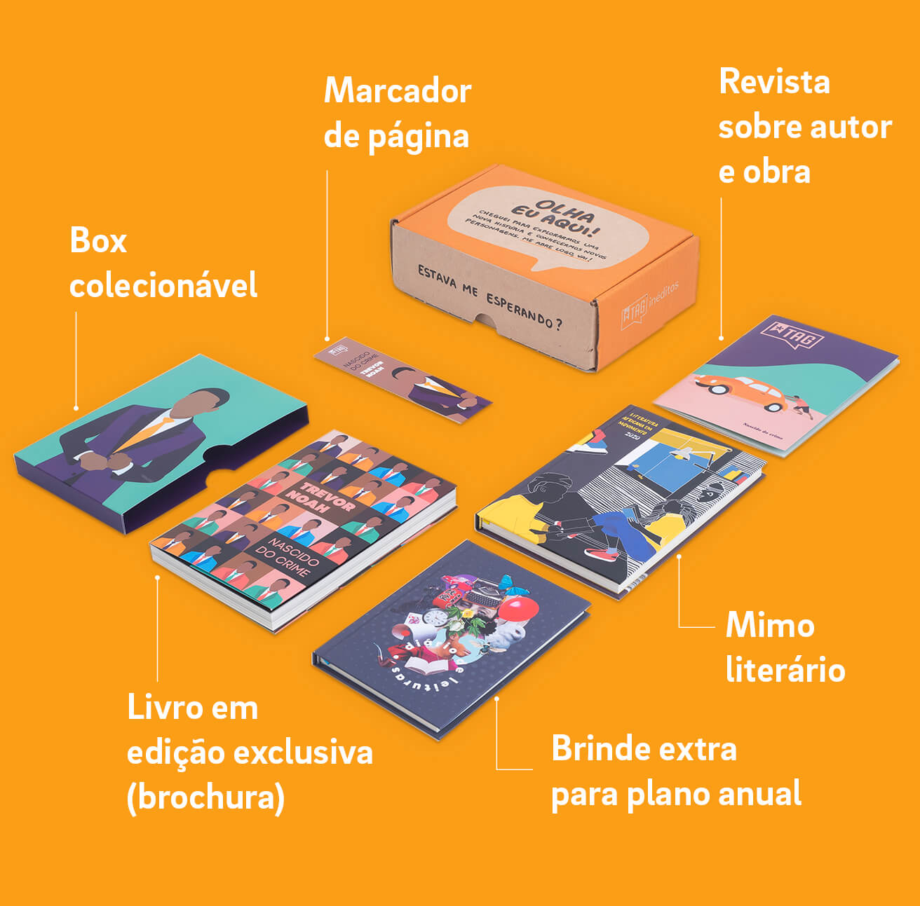 Itens da caixinha do plano anual