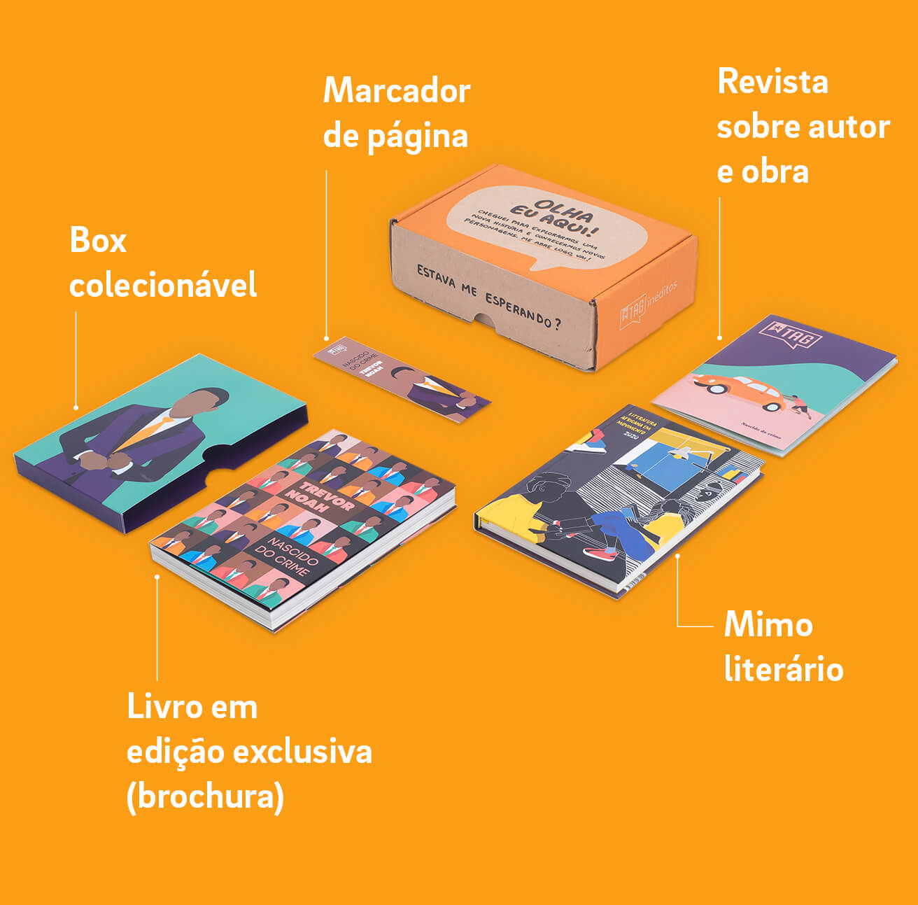 Itens da caixinha do plano mensal